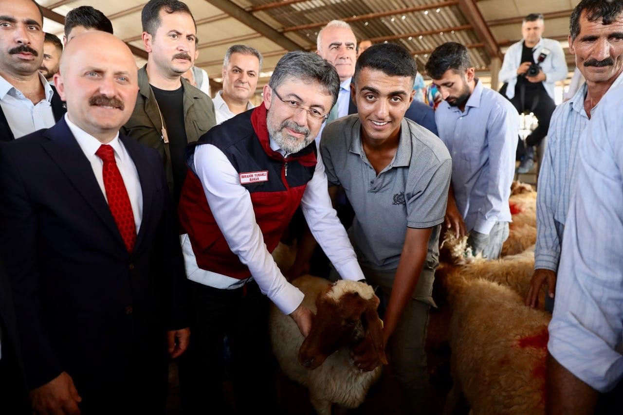 DEPREMDEN ETKİLENEN YERLERE KÜÇÜKBAŞ, KANATLI HAYVAN VE ARILI KOVAN DAĞITIMLARI TAMAMLANDI