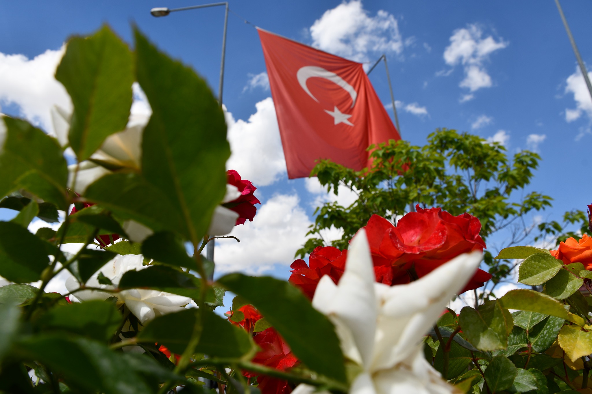 GÜRÜN RENGARENK ÇİÇEKLERLE DONATILDI